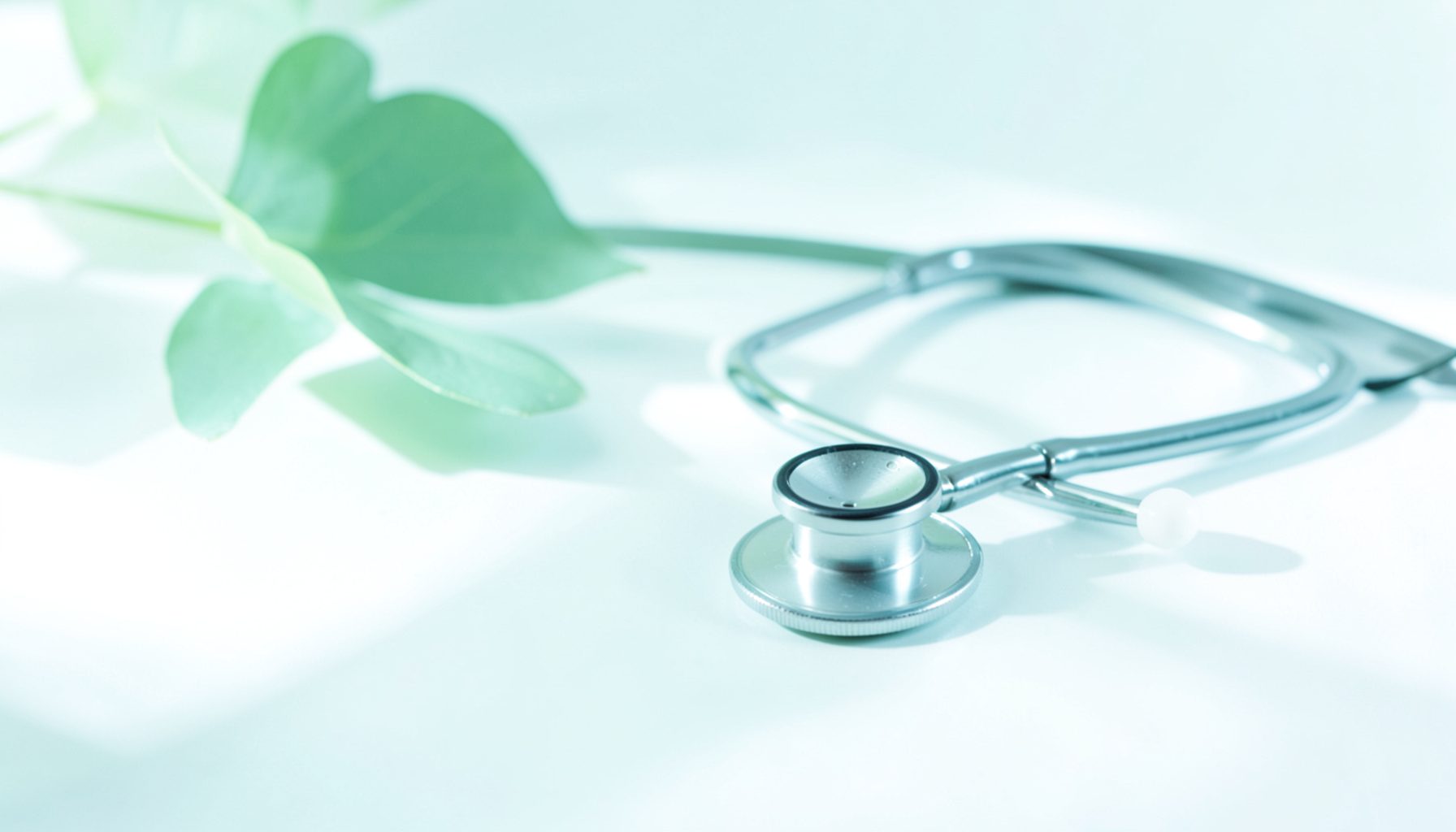 Soft natural light falling across a clean white surface with a green leaf and a stethoscope, calm and clinical wellness mood
